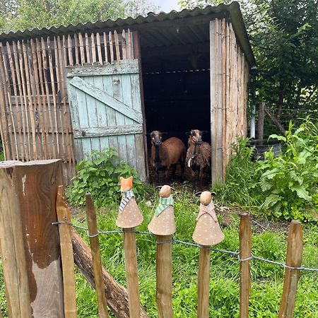 Joly Tiny House Hotel Overijse Ngoại thất bức ảnh